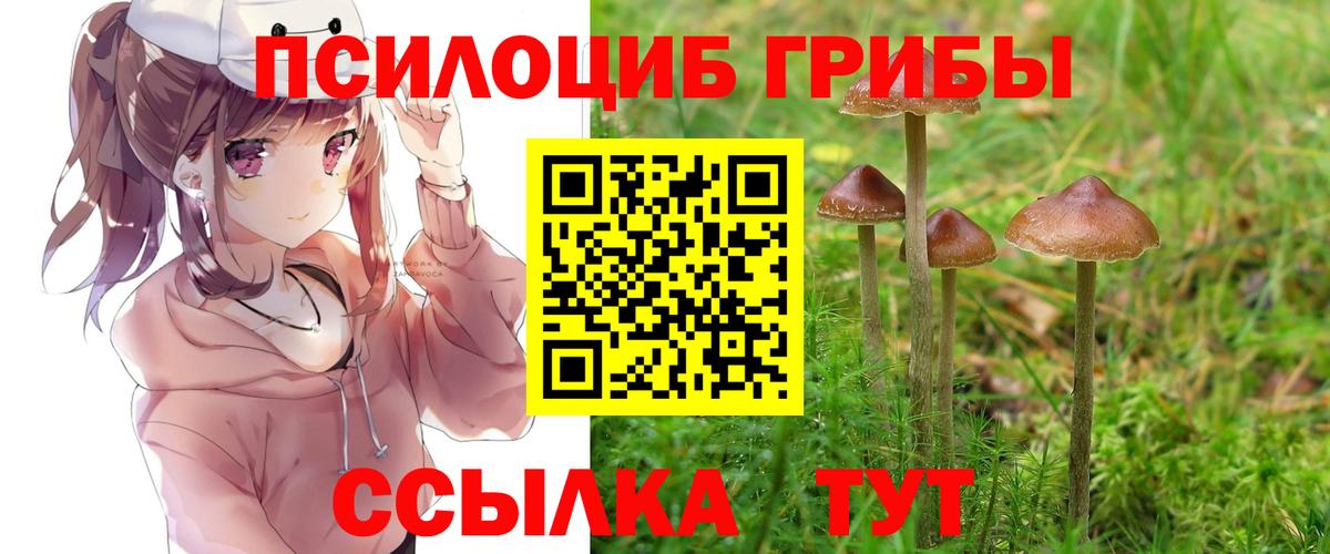 Псилоцибиновые грибы мухоморы Нефтекамск